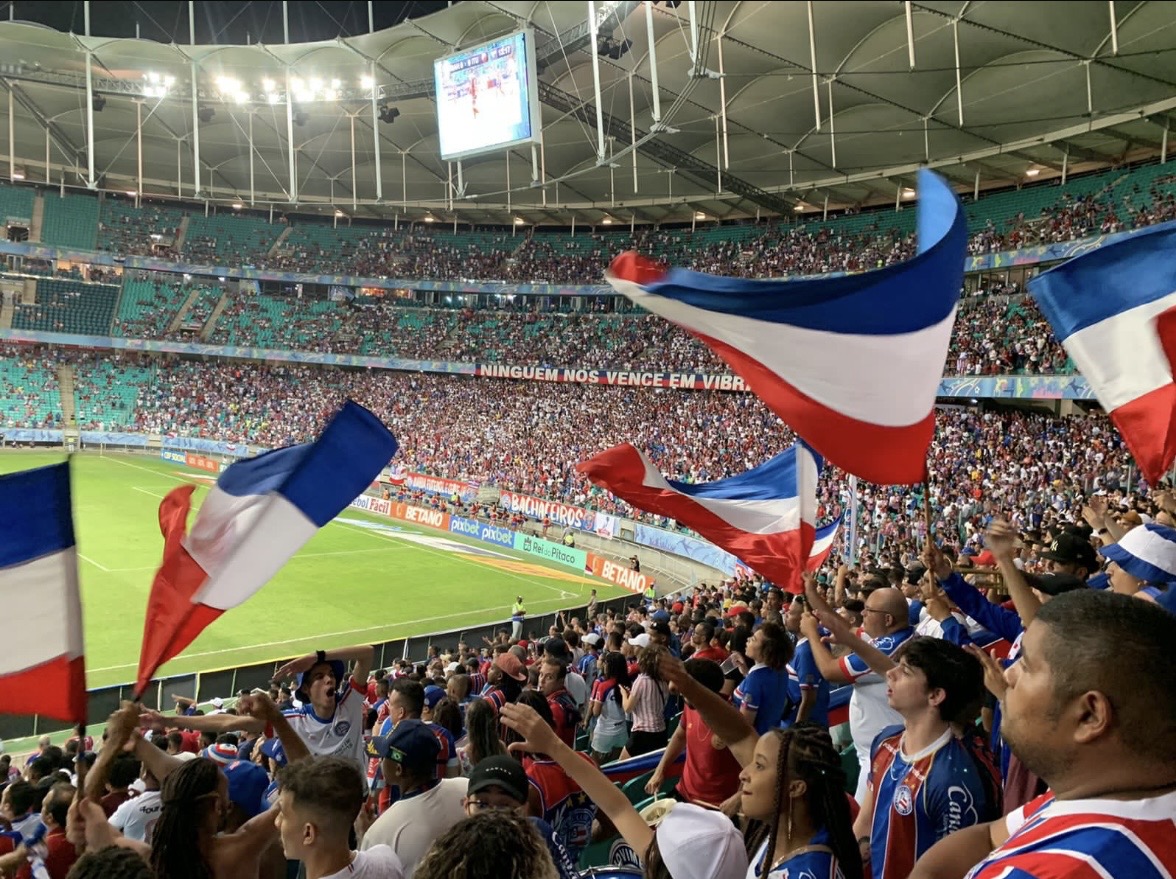 Supporters and flags inside Arena Fonte Nova in Salvador